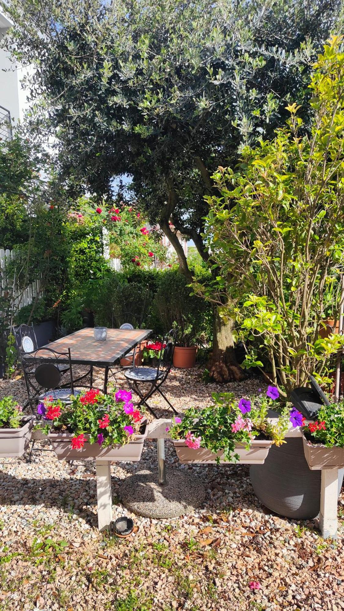 Villa Marianna Garda Lake 佩斯基耶拉德加达 外观 照片