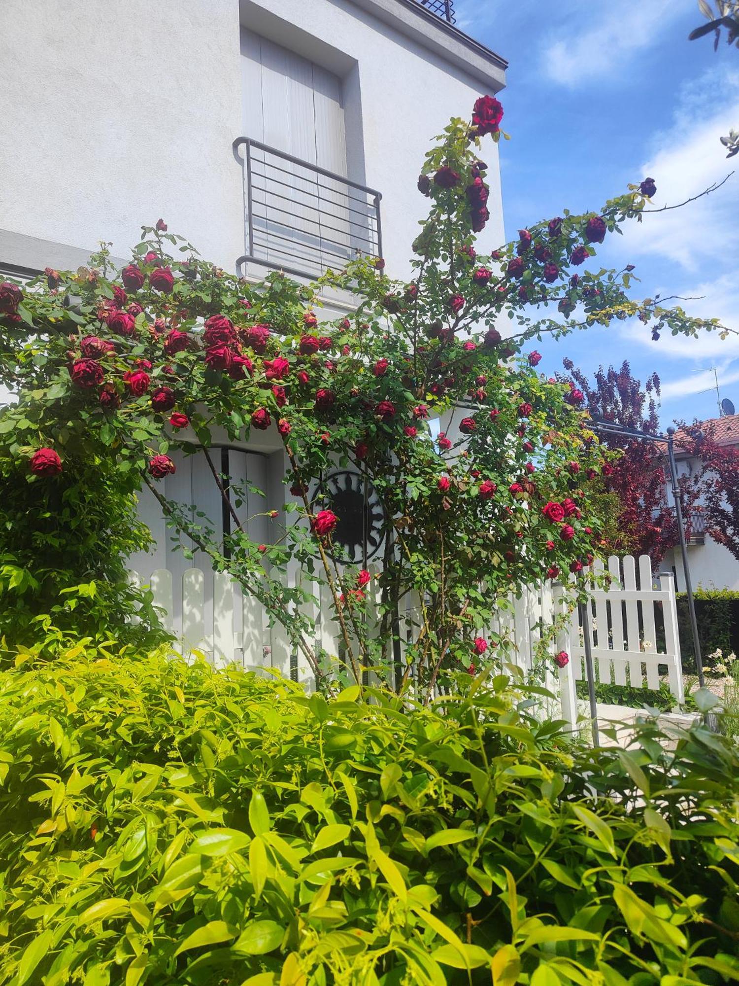 Villa Marianna Garda Lake 佩斯基耶拉德加达 外观 照片