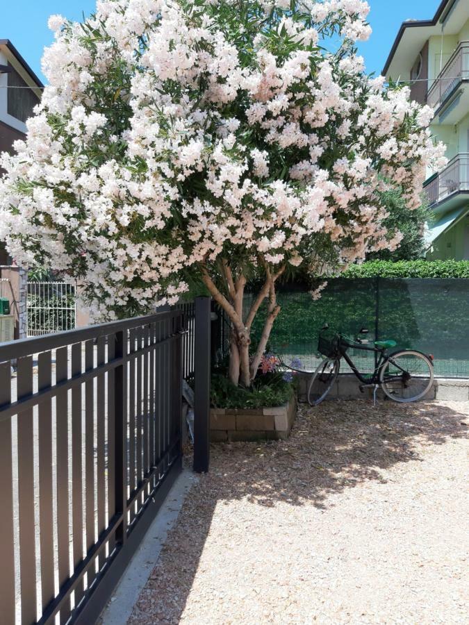 Villa Marianna Garda Lake 佩斯基耶拉德加达 外观 照片